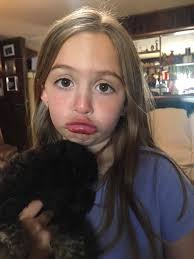 Bergman Elementary School