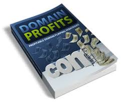 Domain Profits Profitable Domain Flipping Strategies Plr Ebook Ebook Domain Profit