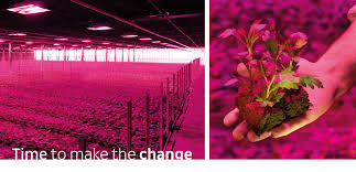 Maybe you would like to learn more about one of these? Led For Horticolture Aec Grow Light