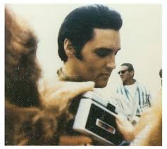 King Movies: Live a Little, Love a Little