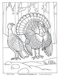 Supercoloring.com is a super fun for all ages: Realistic Animal Coloring Pages Coloring Pages Turkey Coloring Pages Bird Coloring Pages Animal Coloring Pages