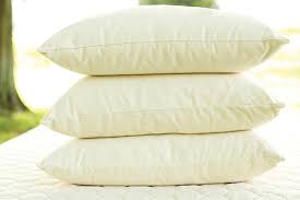 Ordered the pillow on monday 16 november 2020. Is My Pillow Toxic Sleeping Safe Sound Savvy Rest