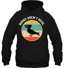 Birds Aren T Real Hoodie Birds Aren T Real Hoodie In 2020 Hoodies Print Clothes Unisex Hoodies