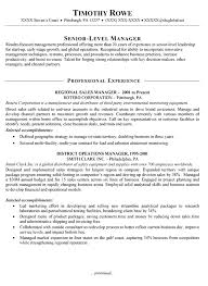 sales manager resume example