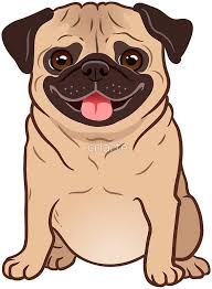 Cute Pug Pug Cute Pugs Cute Drawings Pug Art