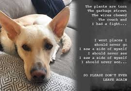 7 Hilarious Poems A Dog Would Pen For Their Human If Dogs Could Talk Dog Poems Dog Friendly Stores