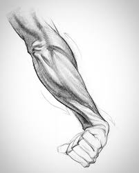Draw the outline and then erase those shapes. 140 Arm Drawing Ideas Anatomy Drawing Arm Drawing Anatomy Sketches