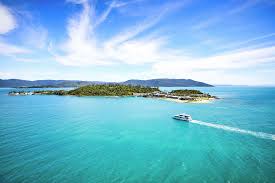 Bring attention to your neighborhood's needs. Ferry Transfers To Daydream Island Resorts Daydream Island