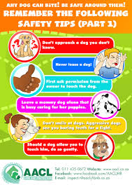 When the animal does not appear to be rabid, it can be held in the dog owner's home. Rabies And Dog Bite Prevention Aacl