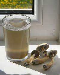 Remove the pot from the heat and allow to cool. How To Make Shroom Tea The Ultimate Mushroom Tea Guide Doubleblind Mag