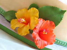 We did not find results for: Happy Cakes Bakes Gumpaste Hibiscus Video Tutorial Fondant Flower Tutorial Sugar Flowers Tutorial Gum Paste