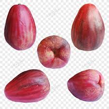 Video ini akan menerangkan bagaimana cara mengatasi masalah ini dalam versi bahasa malaysia. Malay Apples Png Image Psd File Free Download Lovepik 450011055