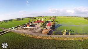 Kalau anda sukakan aktiviti menyelam untuk melihat hidupan marin dan terumbu karang. 12 Tempat Menarik Di Tanjung Karang Lokasi Santai Ammboi
