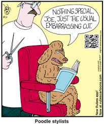 Press enter to collapse or expand the menu. 26 Labradoodle Grooming Ideas Labradoodle Grooming Grooming Labradoodle