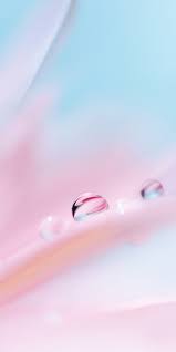 خلفيات موبايل للبنات Tecnologis Huawei Wallpapers Abstract Wallpaper Flower Phone Wallpaper