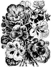 Moscato d'asti docg mazzo di fiori. Free Mazzo Di Fiori 1190377 Png With Transparent Background