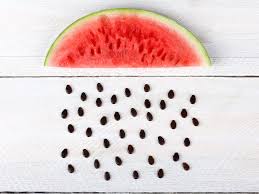 Of course, this is all a mere legend, presumably meant to spook summer campers into eating more daintily. Watermelon Seeds Are A Healthy Snack