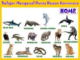 Perangkat Lunak Bantu Pembelajaran Dunia Hewan Karnivora Berbasis Multimedia Interaktif Pdf Free Download