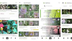 This app was created for both novice and skilled gardeners. Die Besten Garten Apps Fur Angehende Profis Newsslash Com