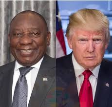 South Africa watching the gerias getting all the attention 😂