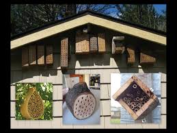 The Sharing Gardens : February 2022