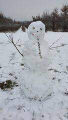 Der mann mit der eisernen maske (oft nur die eiserne maske) († 19. Schneemann Mit Maske Bilder Auf 4teachers De