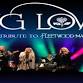 Big Love - A Tribute to Fleetwood Mac event image