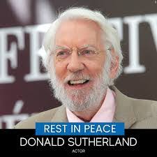 Cindy Wrenn's Instagram, Twitter & Facebook