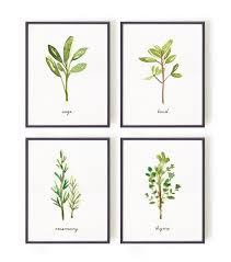 Check spelling or type a new query. Arte De La Pared De La Cocina Hierba Imprime La Pintura De La Etsy Herb Prints Kitchen Wall Art Botanical Prints