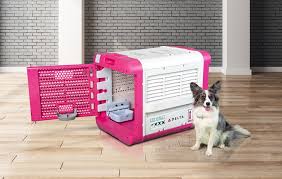 Routes Dogs On Planes Sjc Hotel United Sw Hawaii Latam Jetblue In 2020 Pet Travel Travel Carrier Pet Travel Carrier