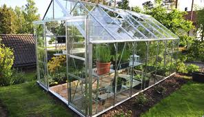 This diy mini greenhouse is the perfect addition for any plant lover's home. Growing In A Small Scale Greenhouse Hobby Farms