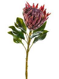 Artificial Large King Protea Flower In Burgundy 27in Tall Artificial Flowers And Plants Protea Flower Artificial Flowers