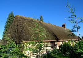 Route Des Chaumieres Marais Vernier Normandie France Thatched Roof House Styles Vernier