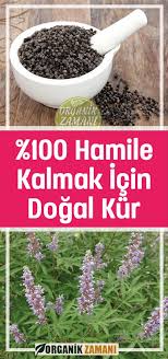 Hayit Tohumu Faydalari Hayit Tohumu Cayi Hayit Tohumu Kuru Herbs Herbal Plants Plants