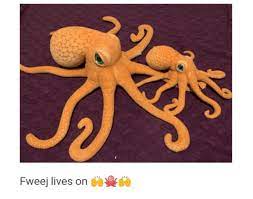 Tumblr Post Kids Worship Teacher S Stuffed Octopus Tumblr Posts Silly Kids Worship