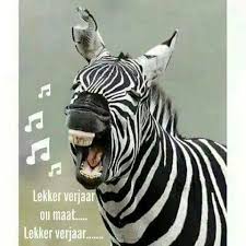 Lekker Verjaar Happy Birthday Meme Birthday Wishes Quotes Birthday Qoutes