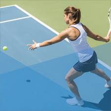 All division 1 women's tennis colleges have superior expectations of incoming athletes receiving scholarship monies. Chicago Tennis Leagues Chicago Sport Social Club