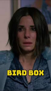 Compreendendo o Filme Bird Box de Forma Incorreta!