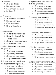 Students can work with their cards on tables, desks, or other workspace and record written answers on the worksheet provided. 4 12 Ws Food Chains And Webs