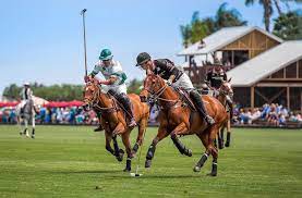 Alle aktivitäten in lakewood ranch. Sarasota Polo Club Is A Great Anna Maria Island Activity