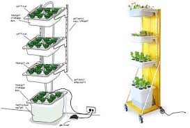 Pin On Hydroponic Gardening