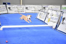 Obedience training, housebreaking, dog diet & nutrition Pet Expo Henrico Humane Society
