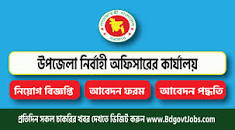 Upazila Nirbahi Office Job Circular 2023- All District - BD ...