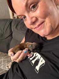 LAST UPDATE: His name is Finley 💙 thank you for your help! UPDATE: He's  here!!! We've narrowed it down to Finley, Joey, Murphy, or Oliver (Ollie).  We will hopefully be picking up