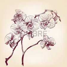 Sie finden bei uns viele kostenlose ausmalbilder mit kindgerecht gestalteten motiven für jungen und mädchen. Orchideen Tribal Malvorlagen Coloring And Malvorlagan