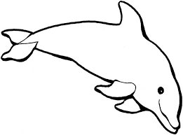 Animal Templates Free Premium Templates Dolphin Coloring Pages Animal Coloring Pages Coloring Pages