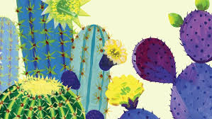 Every type is different, but most cacti require a minimum of four hours of direct sunlight per day. Sticking Up For Cactus The San Diego Union Tribune