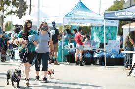 Now more than ever, given the covid 19 virus, the needs are greater than ever. Another First For The White House Shelter Rescue Takes Residence As A First Dog Long Beach Post News
