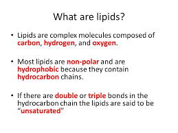 We did not find results for: Lipids Ib Biology Topic Ppt Video Online Download