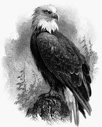 Profile for The American Gentleman